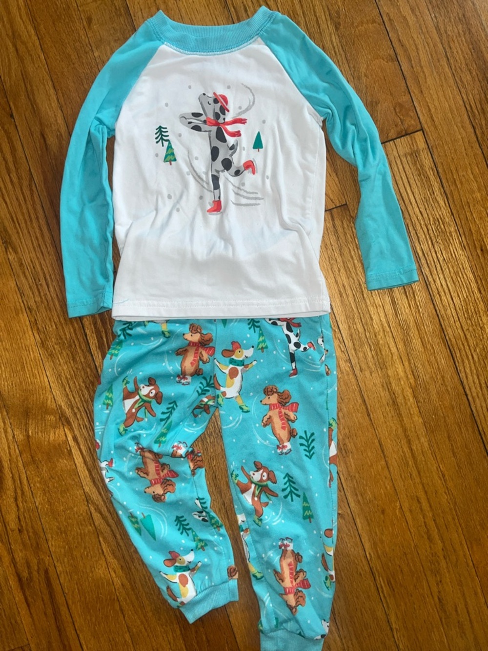 Jammies for Your Families Holiday PJ Set with Skating Dogs